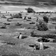 Christian Massari / Sony World Photography Awards